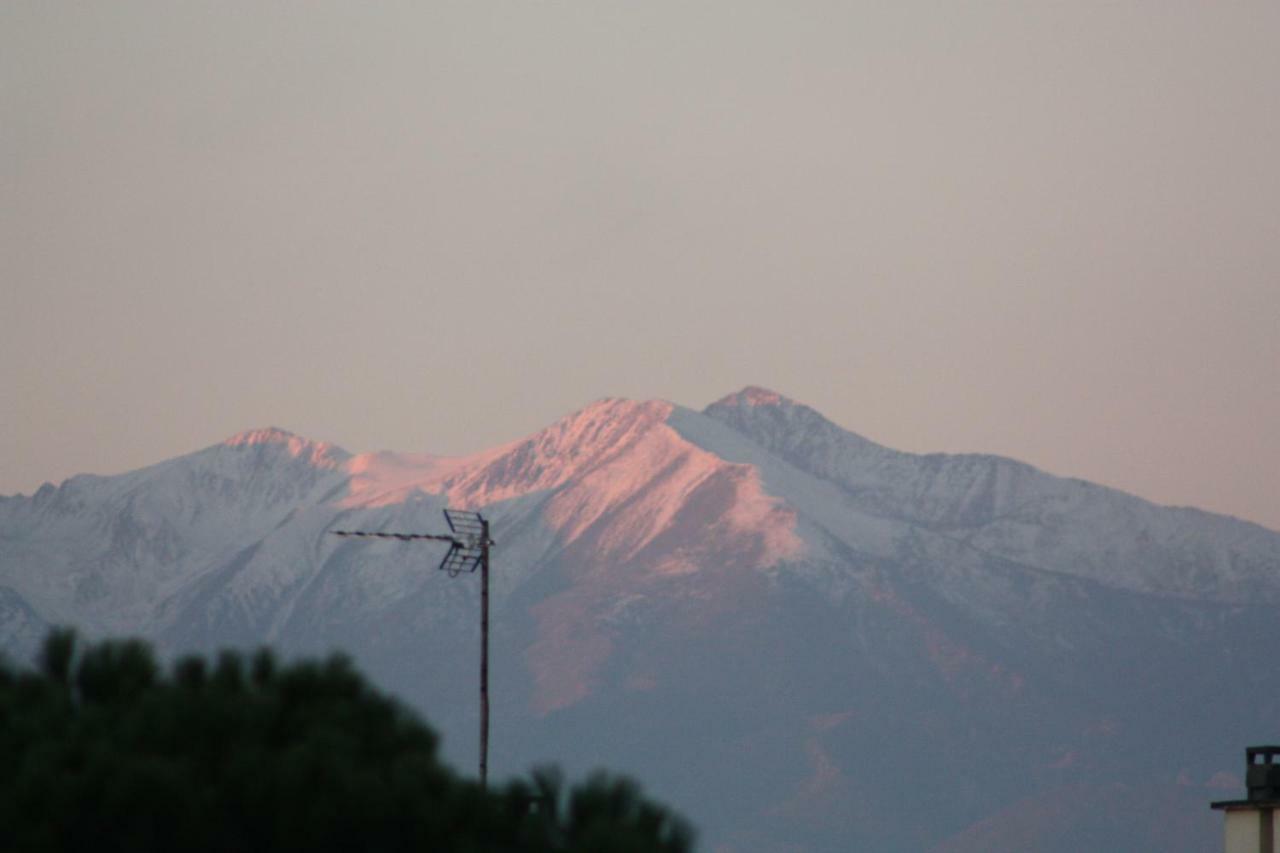 Chambre D'Hote Ciel Bleu Perpignan Eksteriør bilde